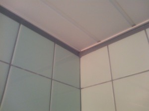 浴室天井1-1